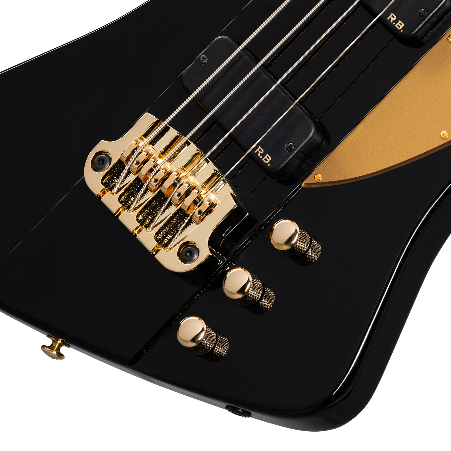 September 2023 - Gibson Rex Brown Custom Bass VIP Package