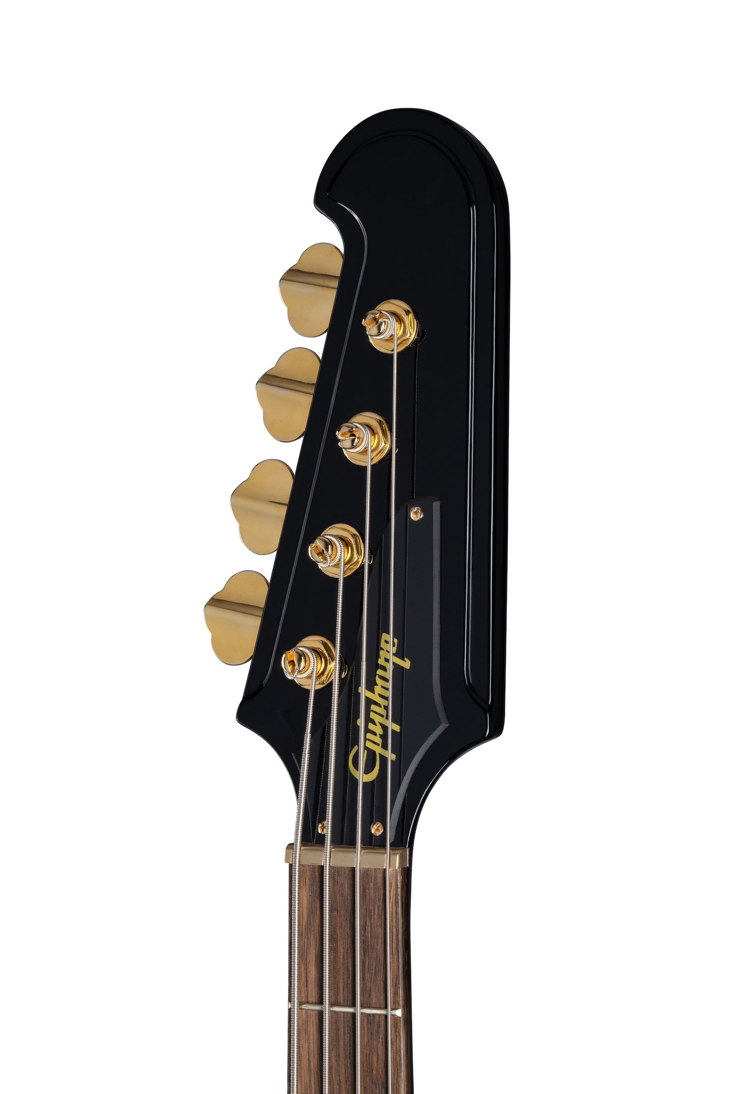 Pantera Feb 2024 - Epiphone Rex Brown Custom Bass VIP Package